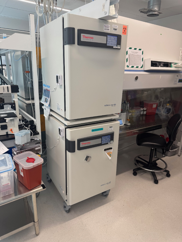 Image of Thermo HERAcell Vios 160i Double Stack Incubator